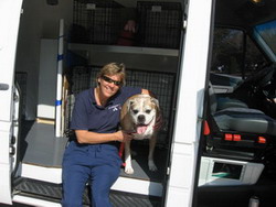 Vet Care Express Ambulatory Service