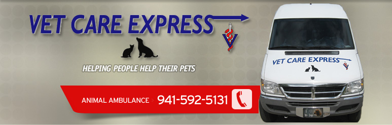 Vet Care Banner