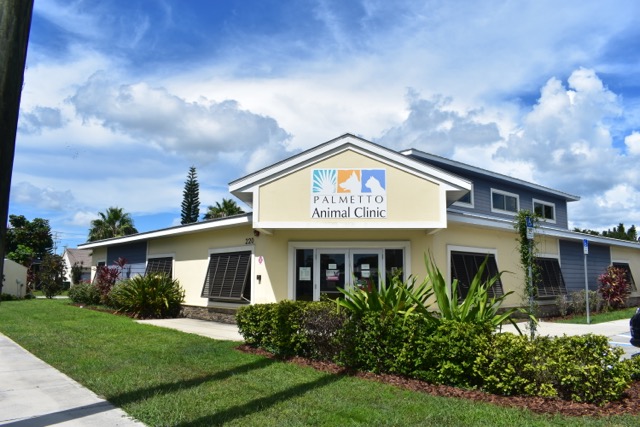 Palmetto Animal Clinic; servicing Palmetto, FL - Ellenton, FL - Parrish, FL - Duette, FL - Bradenton, FL  of Manatee County Florida