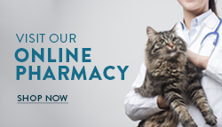 Online Pharmacy Banner
