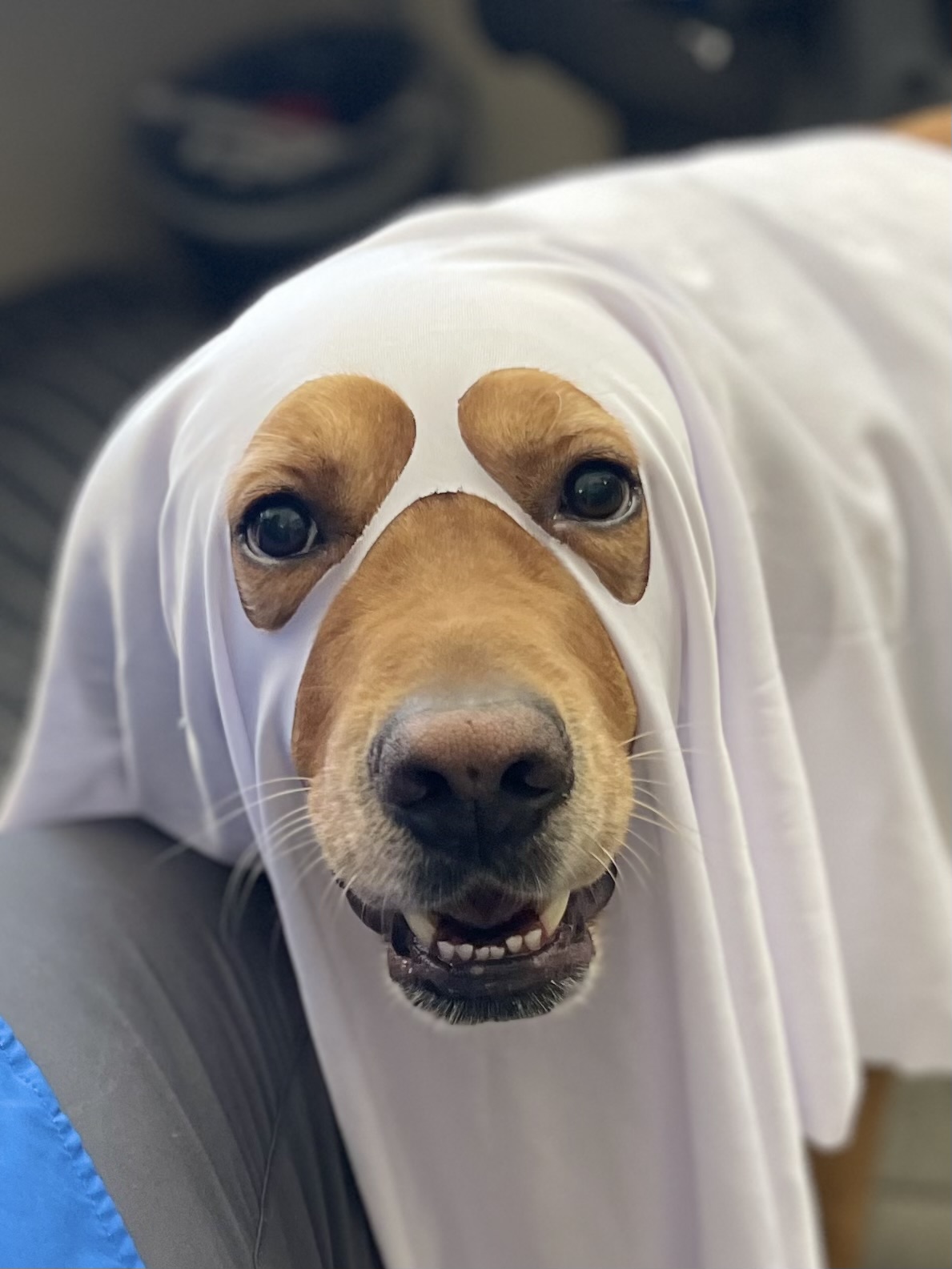 Kylo in Ghost Costume