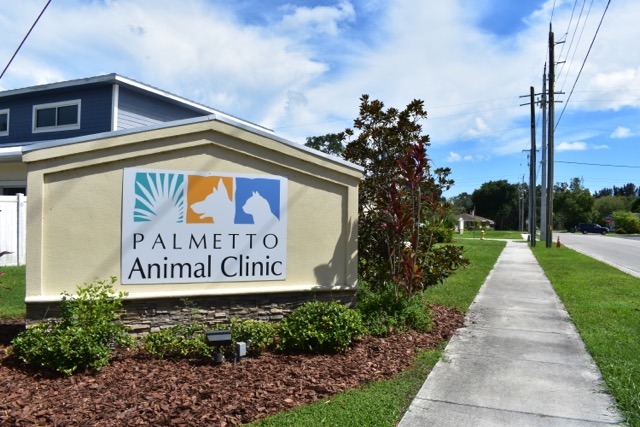 Palmetto Animal Clinic and Opie's Doghouse